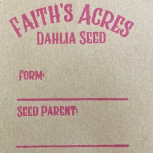 Sandia Brocade Pkt of 15 Seeds