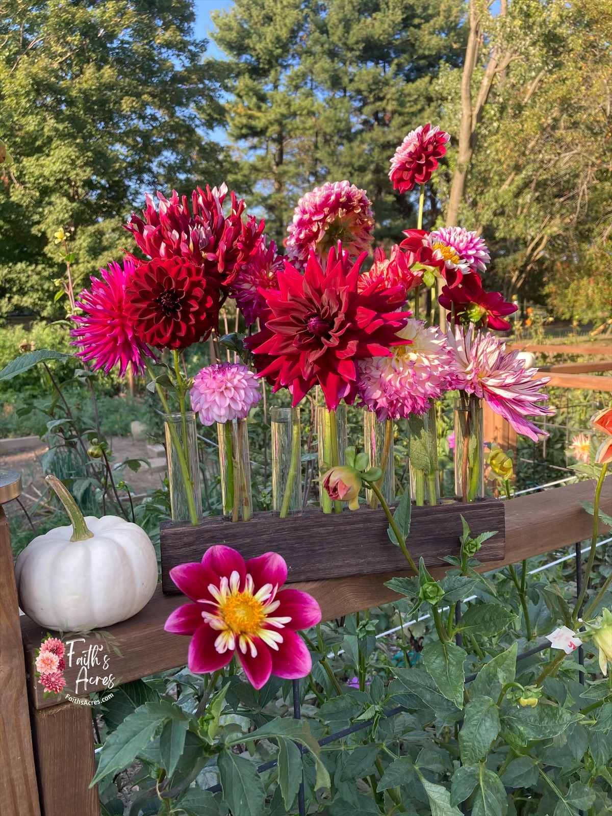 5 Vessel Flower Vase Oak or Walnut Stain Handmade by Sophia Faith - Image 7