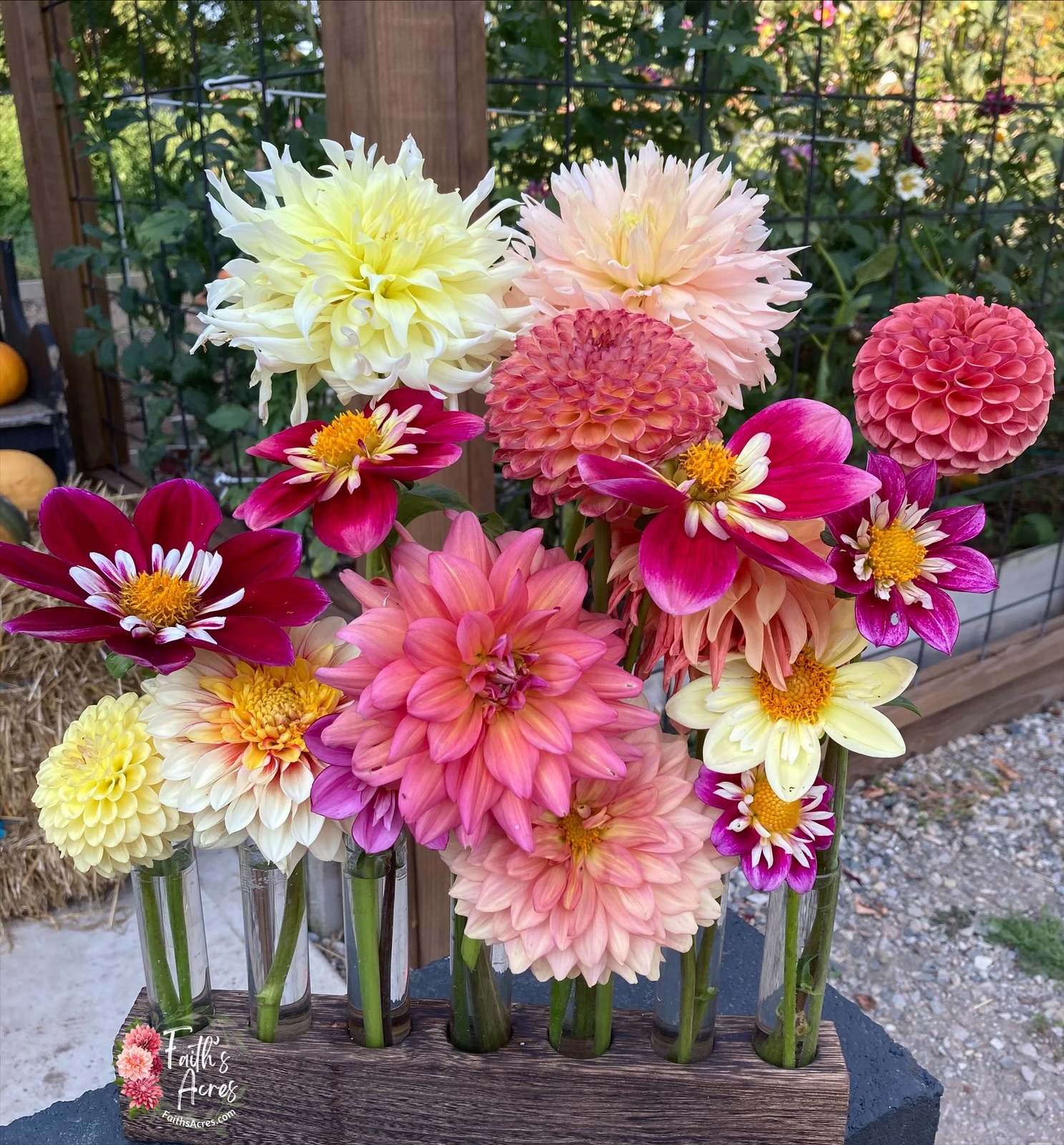 5 Vessel Flower Vase Oak or Walnut Stain Handmade by Sophia Faith - Image 6