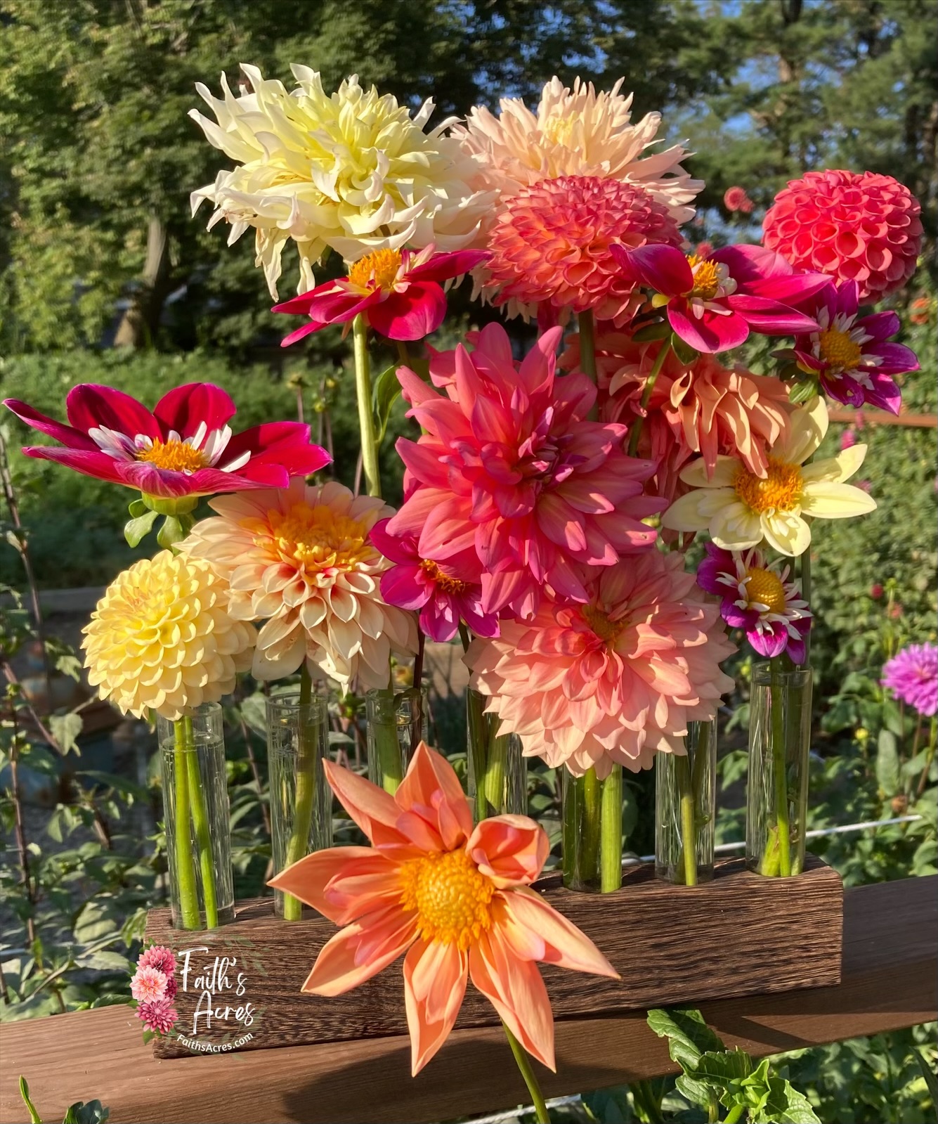 5 Vessel Flower Vase Oak or Walnut Stain Handmade by Sophia Faith - Image 5