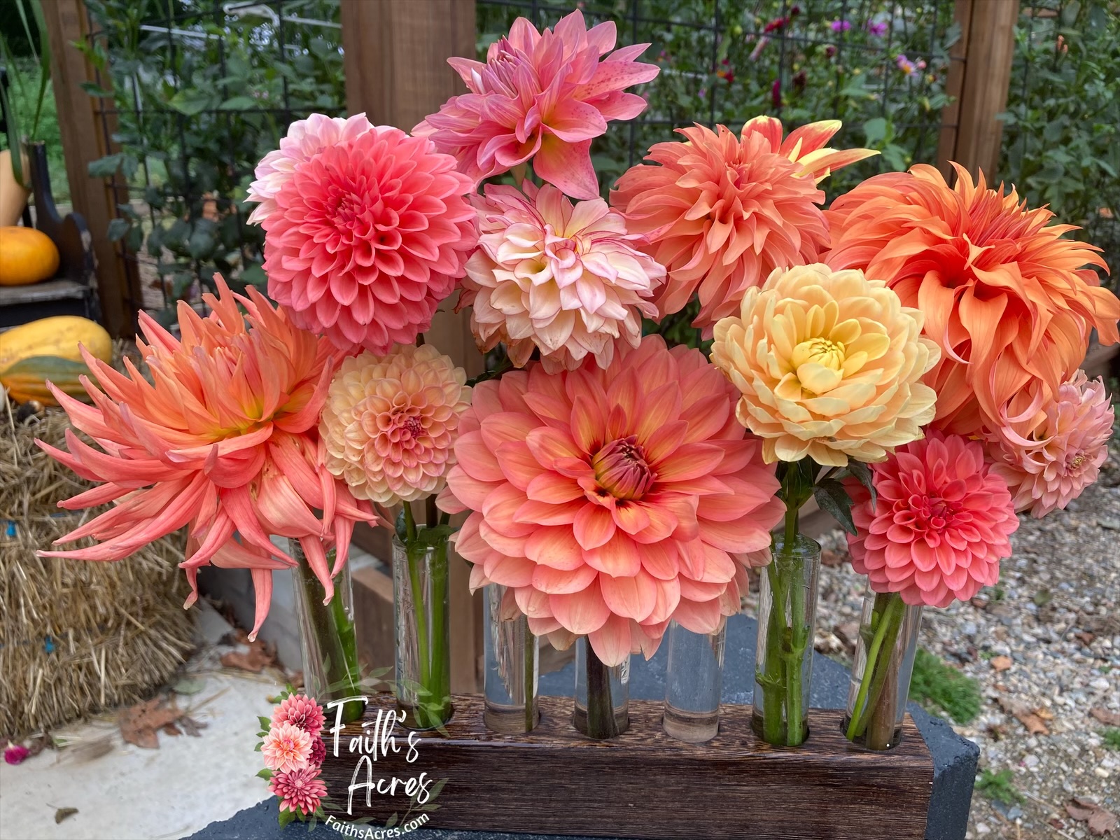 5 Vessel Flower Vase Oak or Walnut Stain Handmade by Sophia Faith - Image 4