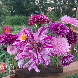 8 or more  Vessel Flower Vase Oak/Walnut Stain Custom Request