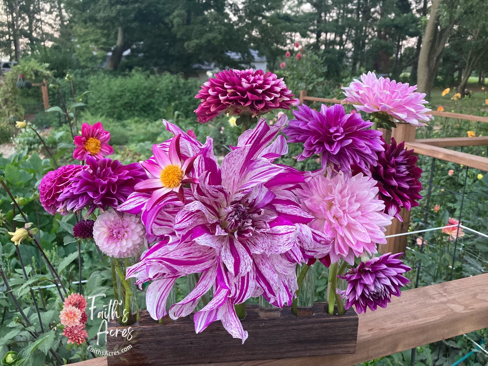 8 or more Vessel Flower Vase Oak/Walnut Stain Custom Request