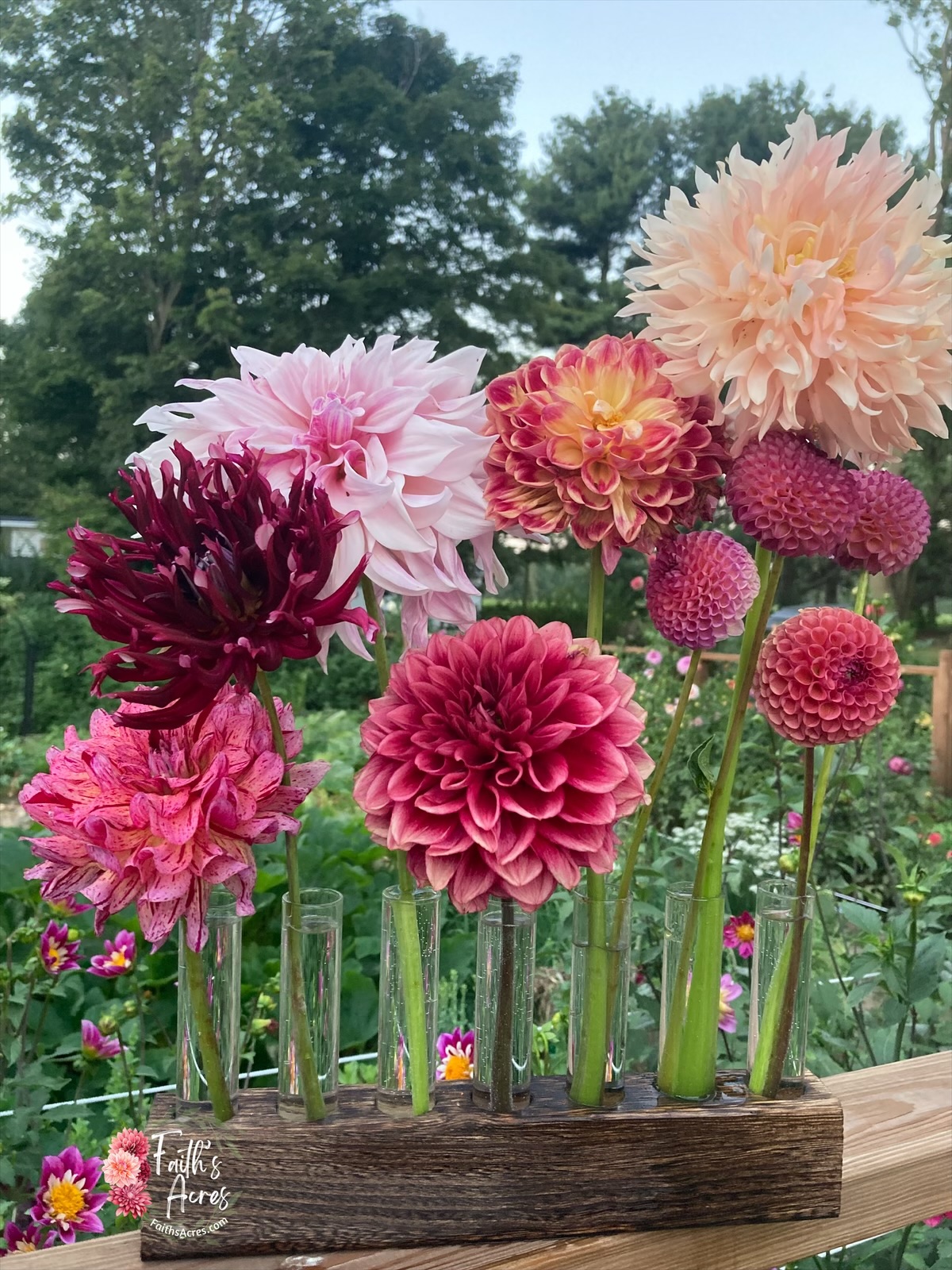 5 Vessel Flower Vase Oak or Walnut Stain Handmade by Sophia Faith - Image 3