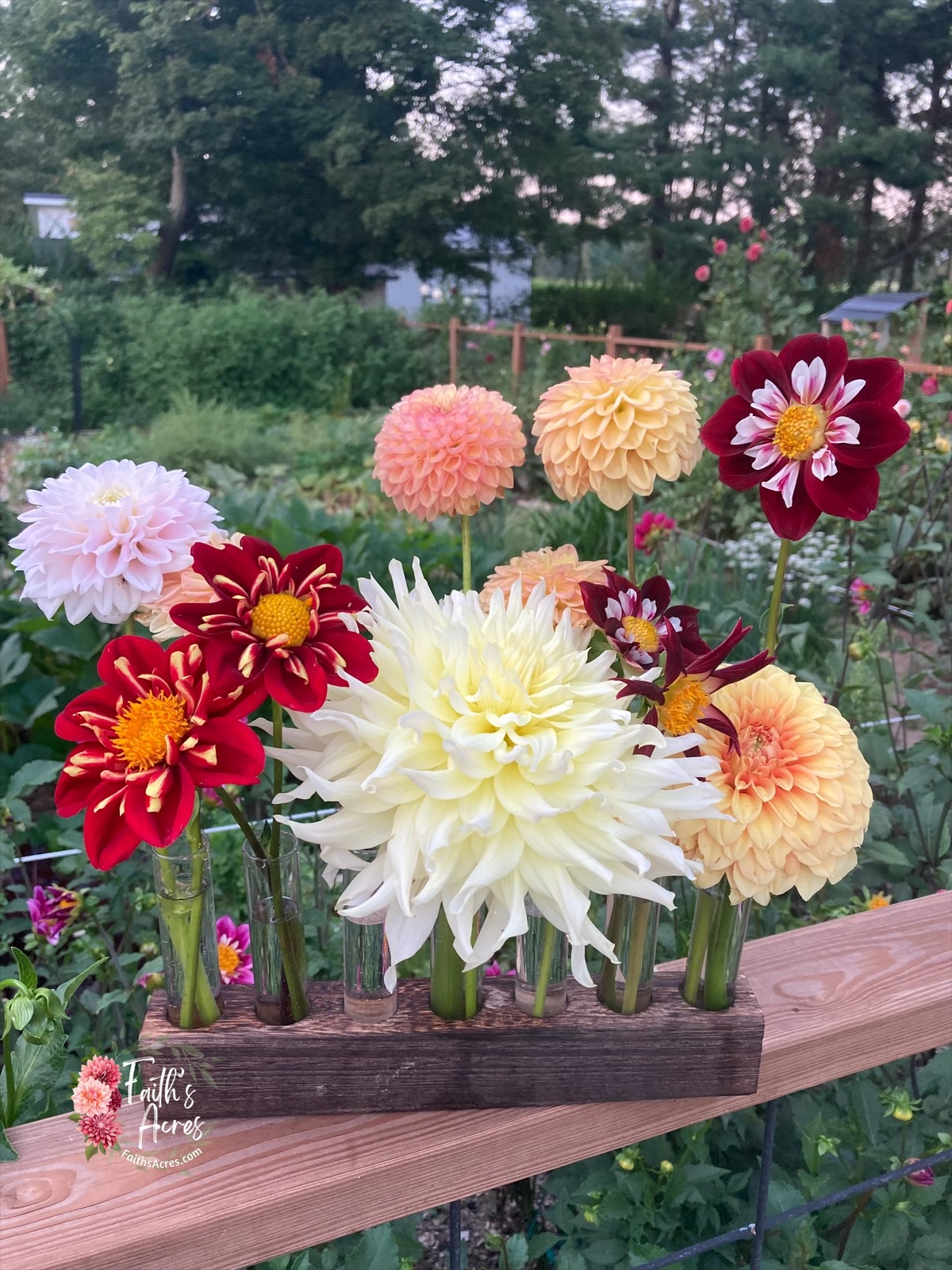 5 Vessel Flower Vase Oak or Walnut Stain Handmade by Sophia Faith - Image 8