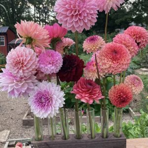 7 Vessel Flower Vase Oak or Walnut Stain Handmade by Sophia Faith