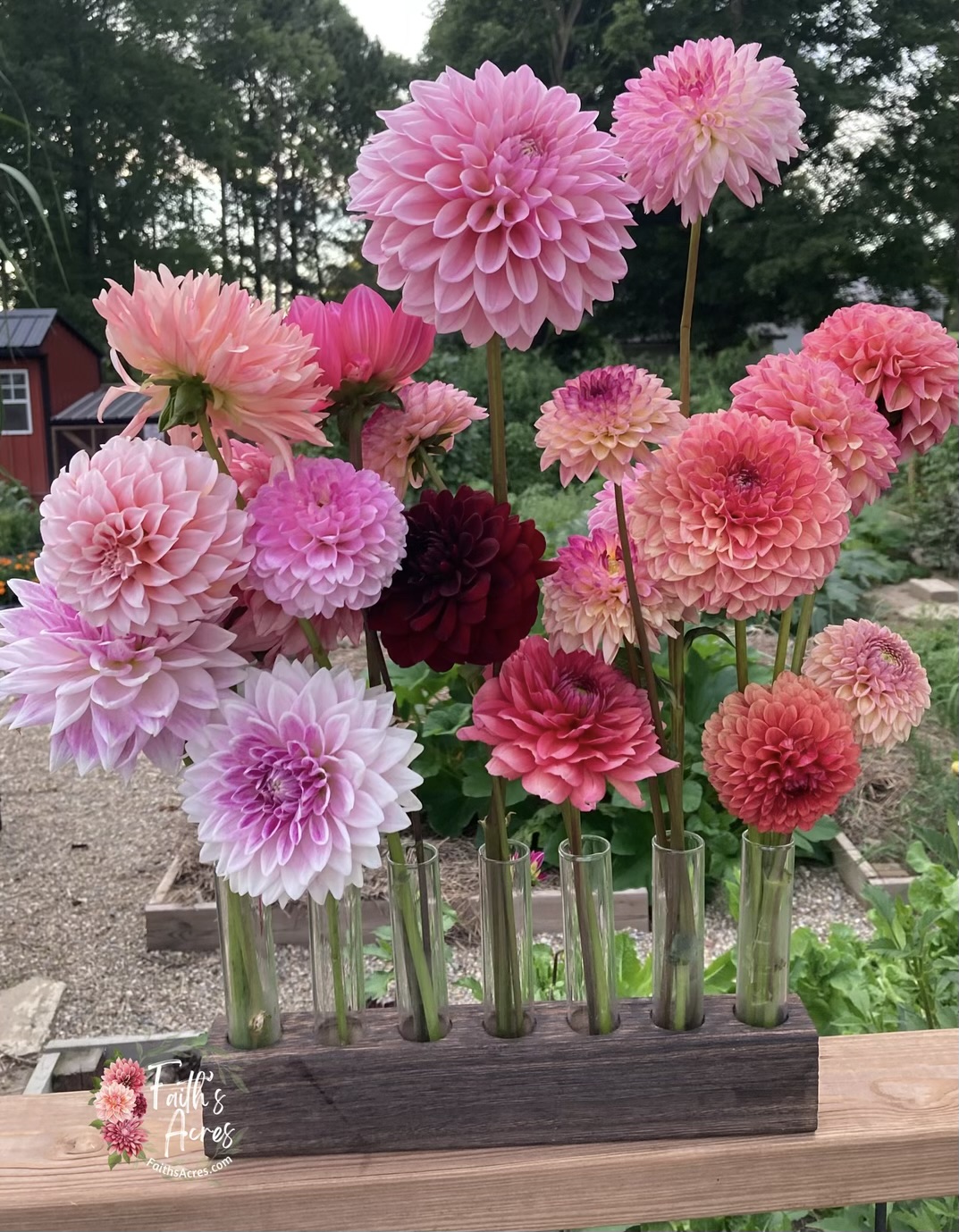 7 Vessel Flower Vase Oak or Walnut Stain Handmade by Sophia Faith