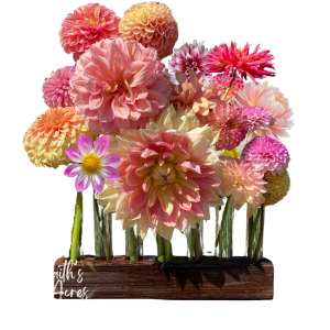 5 Vessel Flower Vase  Oak or Walnut Stain Handmade by Sophia Faith