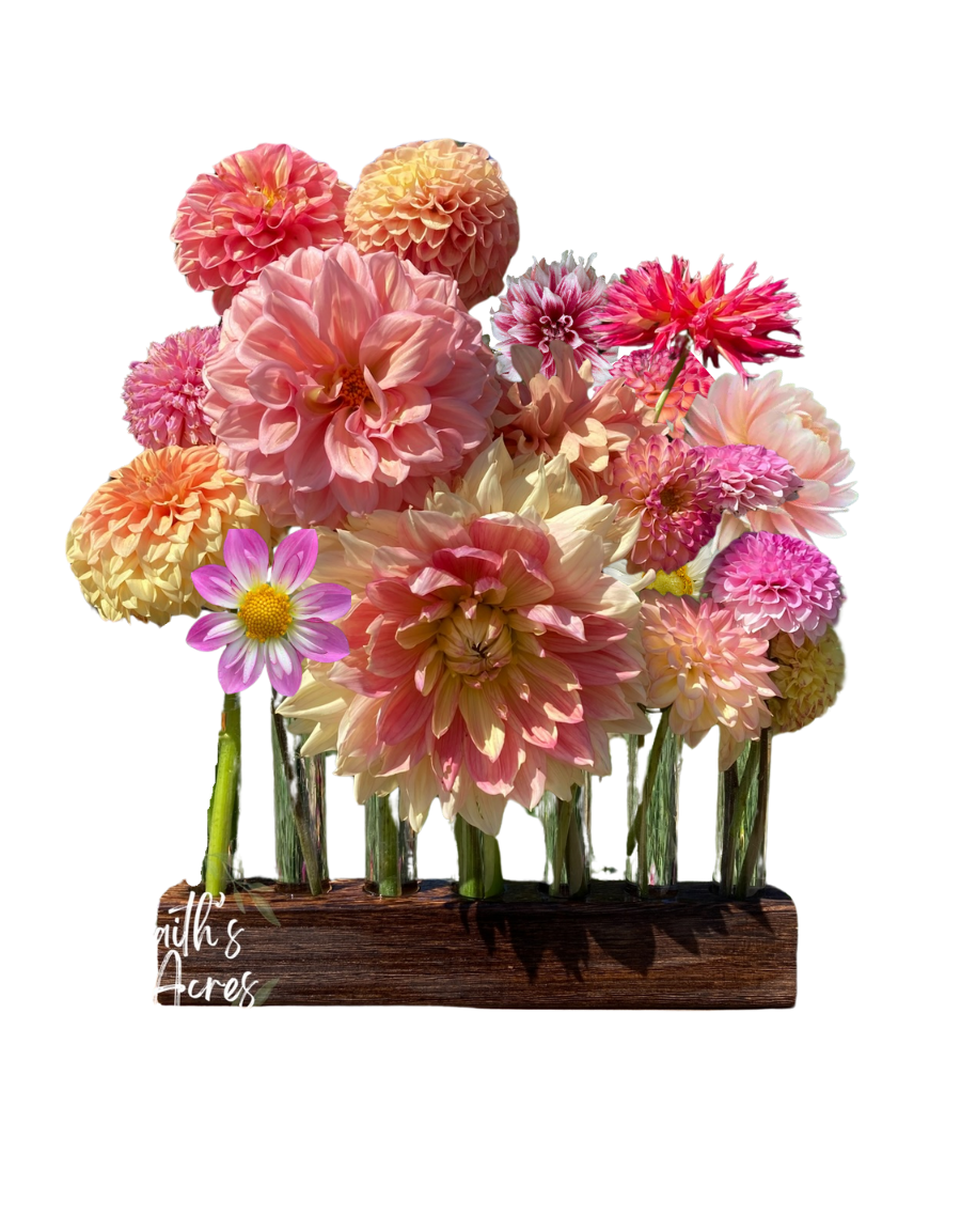 5 Vessel Flower Vase Oak or Walnut Stain Handmade by Sophia Faith