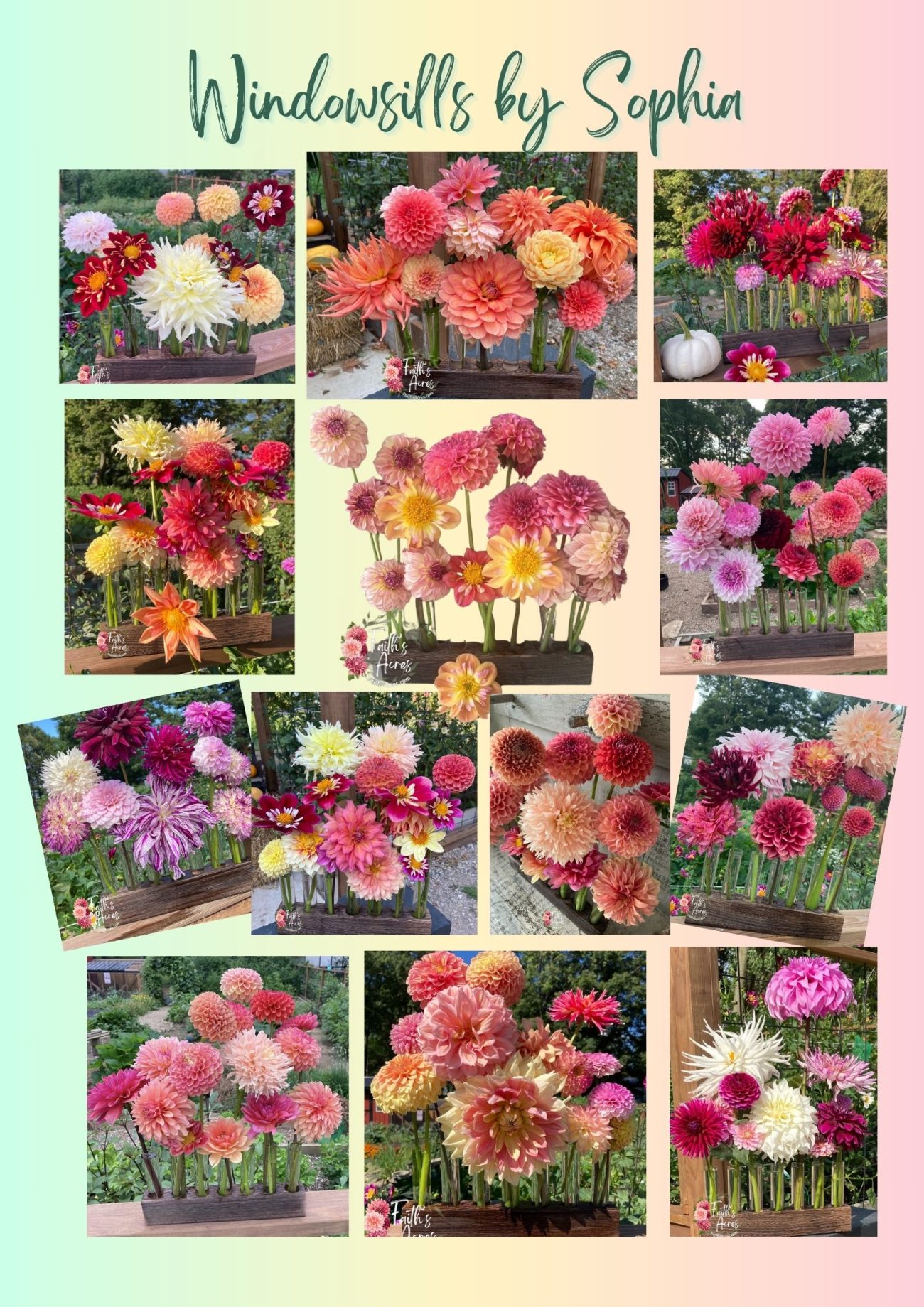 5 Vessel Flower Vase Oak or Walnut Stain Handmade by Sophia Faith - Image 10