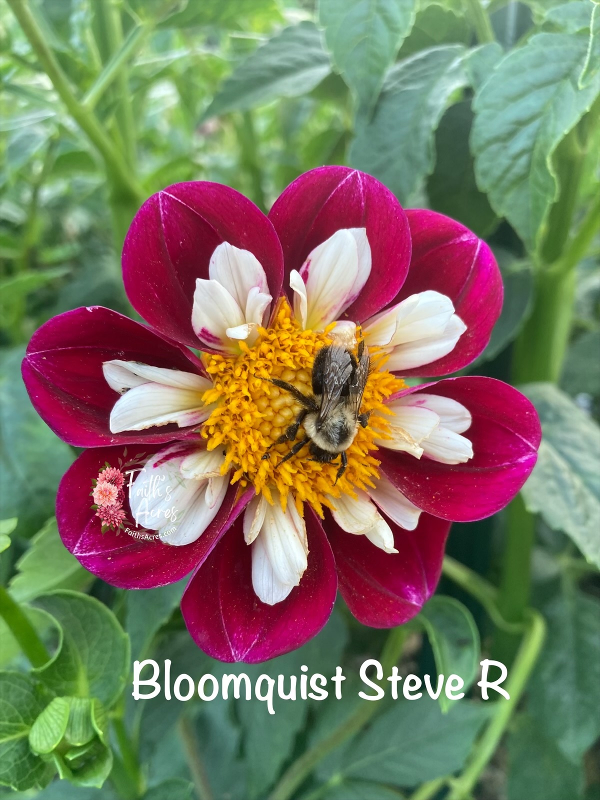 Bloomquist Steve R - Image 2