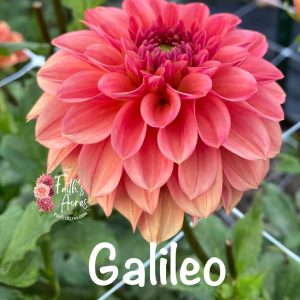 Galileo