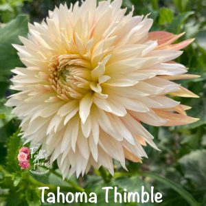 Tahoma Thimble